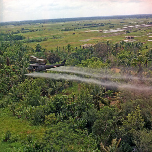 El Agente Naranja en la guerra de Vietnam